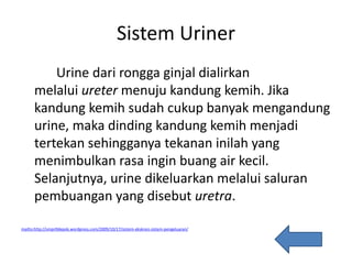 Sistem Uriner
Urine dari rongga ginjal dialirkan
melalui ureter menuju kandung kemih. Jika
kandung kemih sudah cukup banyak mengandung
urine, maka dinding kandung kemih menjadi
tertekan sehingganya tekanan inilah yang
menimbulkan rasa ingin buang air kecil.
Selanjutnya, urine dikeluarkan melalui saluran
pembuangan yang disebut uretra.
mailto:http://smpn9depok.wordpress.com/2009/10/17/sistem-ekskresi-sistem-pengeluaran/
 