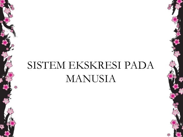 Ekskresi