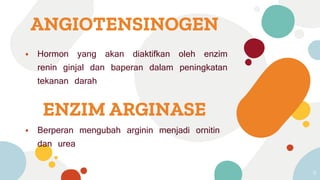 ⦁ Hormon yang akan diaktifkan oleh enzim
renin ginjal dan baperan dalam peningkatan
tekanan darah
11
ANGIOTENSINOGEN
ENZIM ARGINASE
⦁ Berperan mengubah arginin menjadi ornitin
dan urea
 