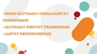 - ENZIM GLUTAMAT-OKSALOASETAT
TRANSFERASE
- GLUTAMAT-PIRUVAT TRANSFERASE
- LAKTAT DEHIDROGENASE
12
 