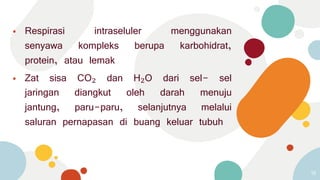 ⦁ Respirasi intraseluler menggunakan
senyawa kompleks berupa karbohidrat,
protein, atau lemak
⦁ Zat sisa CO₂ dan H₂O dari sel- sel
jaringan diangkut oleh darah menuju
jantung, paru-paru, selanjutnya melalui
saluran pernapasan di buang keluar tubuh
18
 