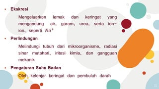 ⦁ Ekskresi
Mengeluarkan lemak dan keringat yang
mengandung air, garam, urea, serta ion-
ion, seperti 𝑁𝑎+
⦁ Perlindungan
Melindungi tubuh dari mikroorganisme, radiasi
sinar matahari, iritasi kimia, dan gangguan
mekanik
⦁ Pengaturan Suhu Badan
Oleh kelenjar keringat dan pembuluh darah
22
 