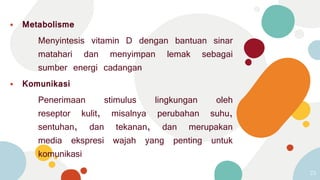 ⦁ Metabolisme
Menyintesis vitamin D dengan bantuan sinar
matahari dan menyimpan lemak sebagai
sumber energi cadangan
⦁ Komunikasi
Penerimaan stimulus lingkungan oleh
reseptor kulit, misalnya perubahan suhu,
sentuhan, dan tekanan, dan merupakan
media ekspresi wajah yang penting untuk
komunikasi
23
 