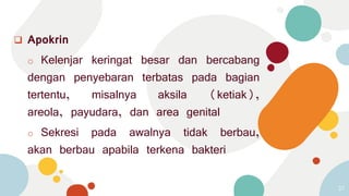  Apokrin
o Kelenjar keringat besar dan bercabang
dengan penyebaran terbatas pada bagian
tertentu, misalnya aksila (ketiak),
areola, payudara, dan area genital
o Sekresi pada awalnya tidak berbau,
akan berbau apabila terkena bakteri
37
 