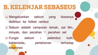 B. KELENJAR SEBASEUS
 Mengeluarkan sebum yang biasanya
dialirkan ke folikel rambut
 Sebum adalah campuran lemak, zat lilin,
minyak, dan pecahan – pecahan sel
 Fungsi sebum : pelembut kulit,
bakterisida, pertahanan terhadap
evaporasi
38
 