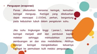 ⦁ Penguapan (evaporasi)
Panas dikeluarkan bersama keringat, kemudian
keringat menguap. Keringat yang dikeluarkan
dapat mencapai 2.000mL perhari, bergantung
pada kebutuhan tubuh dalam pengaturan suhu.
Jika suhu lingkungan tinggi (panas), kelenjar
keringat menjadi aktif dan pembuluh kapiler
melebar sehingga memudahkan proses
pembuangan air dan sisa metabolisme. Aktifnya
kelenjar keringat mengakibatkan keluarnya
keringat ke permukaan kulit melalui penguapan.
42
 