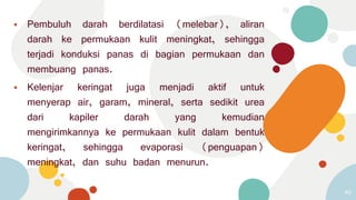 ⦁ Pembuluh darah berdilatasi (melebar), aliran
darah ke permukaan kulit meningkat, sehingga
terjadi konduksi panas di bagian permukaan dan
membuang panas.
⦁ Kelenjar keringat juga menjadi aktif untuk
menyerap air, garam, mineral, serta sedikit urea
dari kapiler darah yang kemudian
mengirimkannya ke permukaan kulit dalam bentuk
keringat, sehingga evaporasi (penguapan)
meningkat, dan suhu badan menurun.
46
 