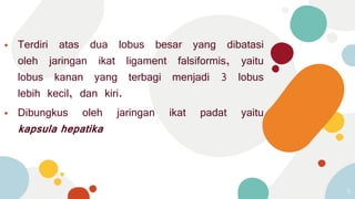 ⦁ Terdiri atas dua lobus besar yang dibatasi
oleh jaringan ikat ligament falsiformis, yaitu
lobus kanan yang terbagi menjadi 3 lobus
lebih kecil, dan kiri.
⦁ Dibungkus oleh jaringan ikat padat yaitu
kapsula hepatika
5
 