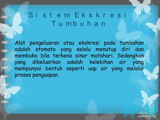 Si s t e m Ek s k r e s i
          T u mb u h a n

Alat pengeluaran atau ekskresi pada tumbuhan
adalah stomata yang selalu menutup diri dan
membuka bila terkena sinar matahari. Sedangkan
yang dikeluarkan adalah kelebihan air yang
mempunyai bentuk seperti uap air yang melalui
proses penguapan.
 