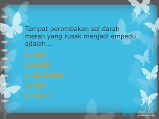 Tempat perombakan sel darah
merah yang rusak menjadi empedu
adalah….
a. kulit
b. ginjal
c. paru-paru
d. hati
e. kolon
 