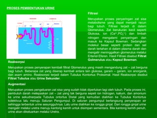 PROSES PEMBENTUKAN URINE
Filtrasi
Merupakan proses penyaringan zat sisa
metabolisme yang dapat menjadi racun
bagi tubuh. Filtrasi terjadi di dalam
Glomerulus. Zat berukuran kecil seperti
Glukosa, ion (Ca2+
,PO4
3-
) dan limbah
nitrogen mengalami penyaringan dan
masuk ke Kapsul Bowman. Sedangkan
molekul besar seperti protein dan sel
darah tertahan di dalam plasma darah dan
mengalir meninggalkan glomerulus melalui
Erteriol Eferen. Hasil Filtrasi disebut Filtrat
Golmerulus atau Kapsul Bowman.
Reabsorpsi
Merupakan proses penyerapan kembali filtrat Glomerulus yang masih mengandung zat – zat berguna
bagi tubuh. Beberapa zat yang diserap kembali antara lain glukosa, garam – garam, ion anorganik,
dan asam amino. Reabsorpsi terjadi dalam Tubulus Kontortus Proksimal. Hasil Reabsorpsi disebut
Filtrat Tubulus atau Urine Sekunder.
Augmentasi
Merupakan proses pengeluaran zat sisa yang sudah tidak diperlukan lagi oleh tubuh. Pada proses ini,
pembuluh darah melepaskan zat – zat yang tak berguna sepeti ion hidrogen, kalium, dan amonium
ke urine sekudnerpada Tubulus ontortus Distal yang kemudian dialirkan ke Tubulus Kontortus
kolektivus lalu menuju Saluran Pengumpul. Di saluran pengumpul berlangsung penyerapan air
sehingga terbentuk urine sesungguhnya. Lalu urine dialirkan ke rongga ginjal. Dari rongga ginjal urine
mengalir melalui uretra menuju kantong kemih untuk disimpan sementara. Bila kantong kemih penuh,
urine akan dikeluarkan melalui Uretra.
 