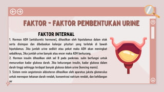Faktor Internal
1. Hormon ADH (antidiuretic hormone), dihasilkan oleh hipotalamus dalam otak
serta disimpan dan dibebaskan kelenjar pituitari yang terletak di bawah
hipotalamus. Jika jumlah urine sedikit atau pekat maka ADH akan meningkat
sebaliknya, Jika jumlah urine banyak atau encer maka ADH berkurang.
2. Hormon insulin dihasilkan oleh sel B pada pankreas. sulin berfungsi untuk
menurunkan kadar glukosa darah. Jika kekurangan insulin, kadar glukosa dalam
darah tinggi sehingga terdapat banyak glukosa dalam urine (kencing manis).
3. Sistem renin angiotensin aldosteron dihasilkan oleh aparatus juksta glomerulus
untuk merespon tekanan darah rendah, konsentrasi natrium rendah, dan kehilangan
air
FAKTOR - FAKTOR PEMBENTUKAN URINE
FAKTOR - FAKTOR PEMBENTUKAN URINE
 
