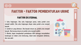 FAKTOR - FAKTOR PEMBENTUKAN URINE
FAKTOR - FAKTOR PEMBENTUKAN URINE
Faktor EKSTERNAL
1. Suhu lingkungan. Jika suhu lingkungan panas, maka jumlah urine
menjadi sedikit. Jika suhu lingkungan dingin maka jumlah urine menjadi
banyak.
2. Jumlah air yang diminum. Jika banyak minum air, jumlah urine menjadi
banyak. Jika kurang minum air jumlah urine menjadi sedikit.
3. Alkohol, dapat menghambat pembebasan ADH sehingga menyebabkan
kandungan air dalam urine berkurang, tubuh akan mengalami dehidrasi,
dan rasa sakit
 