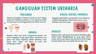 Kelainan peningkatan frekuensi buang air kecil sebagai
akibat dari kelebihan produksi air seni. Gejalanya adalah
sering buang air kecil hingga belasan kali dalam satu hari.
Kegagalan ginjal dalam memproduksi urine. Gejalanya
adalah pembengkakan akibat retensi cairan, mual,
kelelahan, dan sesak napas.
Keadaan toksik saat darah mengandung banyak urea
karena kegagalan fungsi ginjal dalam membuang urea
keluar dari tubuh. Gejalanya adalah kelelahan, mual,
hilang nafsu makan, rasa logam di mulut, dan
kebingungan mental.
Radang nefron pada ginjal yang dapat disebabkan oleh
infeksi bakteri Streptococcus sp. yang dapat masuk
melalui saluran pernapasan dan peredaran darah hingga
ke ginjal. Gejala utama nya adalah demam dan ruam.
 