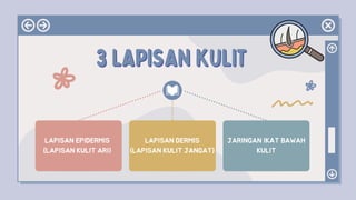 3 LAPISAN KULIT
3 LAPISAN KULIT
LAPISAN EPIDERMIS
(LAPISAN KULIT ARI)
LAPISAN DERMIS
(LAPISAN KULIT JANGAT)
JARINGAN IKAT BAWAH
KULIT
 
