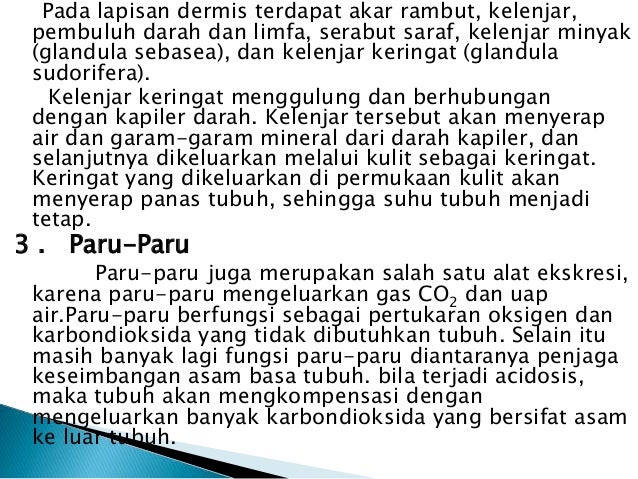 Sistem ekskresi kls 9