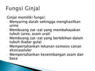 Ginjal memiliki fungsi:
- Menyaring darah sehingga menghasilkan
urine
- Membuang zat-zat yang membahayakan
tubuh (urea, asam urat)
- Membuang zat-zat yang berlebihan dalam
tubuh (kadar gula)
- Mempertahankan tekanan osmosis cairan
ekstraseluler
- Mempertahankan keseimbangan asam dan
basa
 