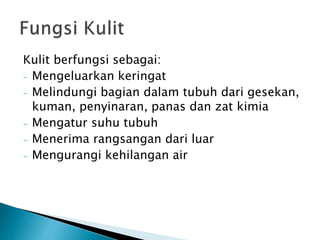 Kulit berfungsi sebagai:
- Mengeluarkan keringat
- Melindungi bagian dalam tubuh dari gesekan,
kuman, penyinaran, panas dan zat kimia
- Mengatur suhu tubuh
- Menerima rangsangan dari luar
- Mengurangi kehilangan air
 