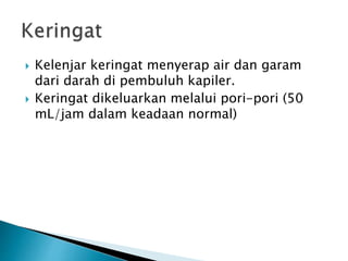  Kelenjar keringat menyerap air dan garam
dari darah di pembuluh kapiler.
 Keringat dikeluarkan melalui pori-pori (50
mL/jam dalam keadaan normal)
 