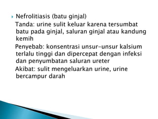  Nefrolitiasis (batu ginjal)
Tanda: urine sulit keluar karena tersumbat
batu pada ginjal, saluran ginjal atau kandung
kemih
Penyebab: konsentrasi unsur-unsur kalsium
terlalu tinggi dan dipercepat dengan infeksi
dan penyumbatan saluran ureter
Akibat: sulit mengeluarkan urine, urine
bercampur darah
 