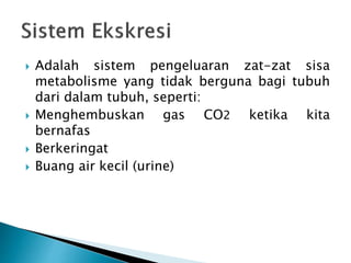  Adalah sistem pengeluaran zat-zat sisa
metabolisme yang tidak berguna bagi tubuh
dari dalam tubuh, seperti:
 Menghembuskan gas CO2 ketika kita
bernafas
 Berkeringat
 Buang air kecil (urine)
 