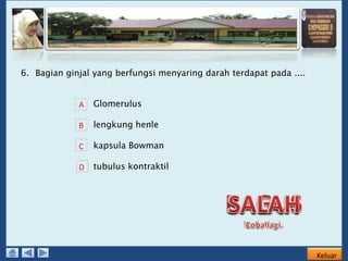 Reabsorbsi atau penyerapan kembali zat-zat yang masih berfungsi berlangsung di bagian