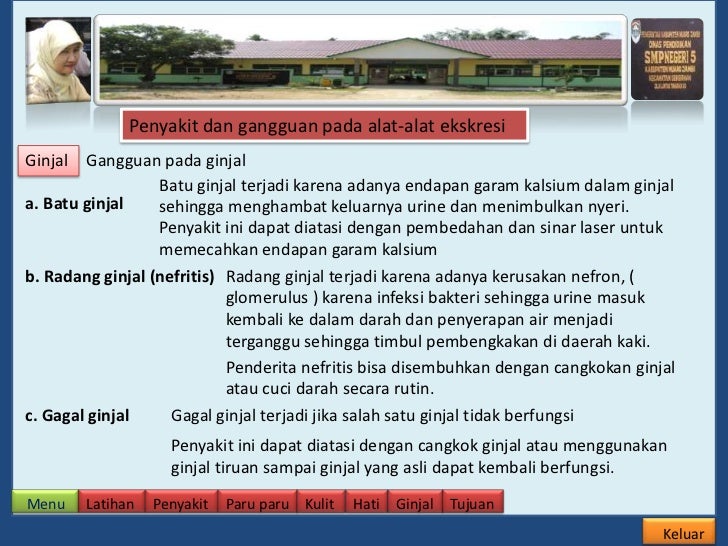 Sistem ekskresi pada manusia ppt