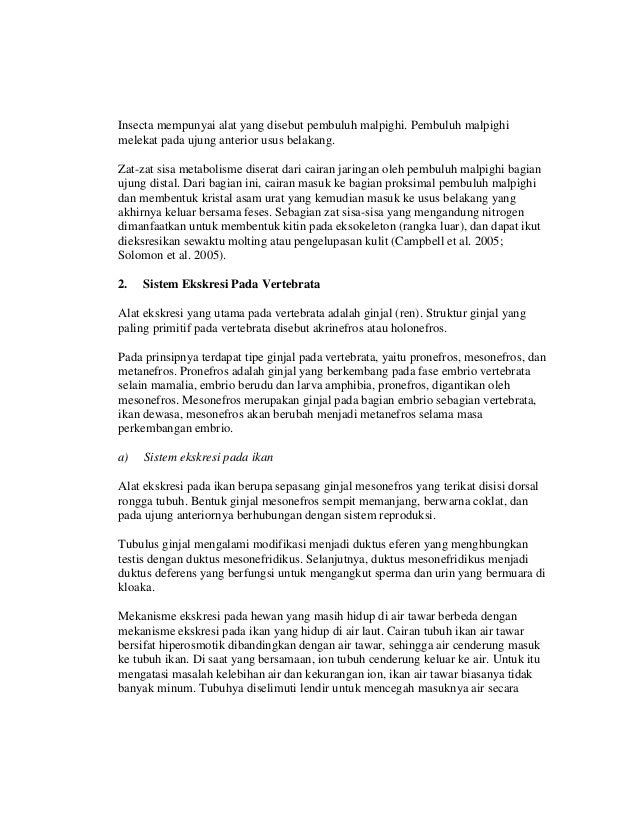 Download 4300 Koleksi Gambar Ginjal Mesonefros Terbaik Gratis HD