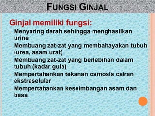 FUNGSI GINJAL
Ginjal memiliki fungsi:
- Menyaring darah sehingga menghasilkan
urine
- Membuang zat-zat yang membahayakan tubuh
(urea, asam urat)
- Membuang zat-zat yang berlebihan dalam
tubuh (kadar gula)
- Mempertahankan tekanan osmosis cairan
ekstraseluler
- Mempertahankan keseimbangan asam dan
basa
 