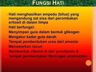 FUNGSI HATI
 Hati menghasilkan empedu (bilus) yang
mengandung zat sisa dari perombakan
eritosit di dalam limpa
 Hati berfungsi:
- Menyimpan gula dalam bentuk glikogen
- Mengatur kadar gula darah
- Tempat pembentukan urea dari amonia
- Menawarkan racun
- Membentuk vitamin A dari provitamin A
- Tempat pembentukan fibrinogen protrombin
 