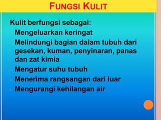 FUNGSI KULIT
Kulit berfungsi sebagai:
- Mengeluarkan keringat
- Melindungi bagian dalam tubuh dari
gesekan, kuman, penyinaran, panas
dan zat kimia
- Mengatur suhu tubuh
- Menerima rangsangan dari luar
- Mengurangi kehilangan air
 