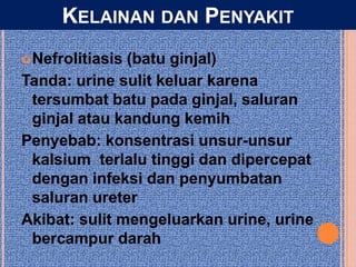 Nefrolitiasis (batu ginjal)
Tanda: urine sulit keluar karena
tersumbat batu pada ginjal, saluran
ginjal atau kandung kemih
Penyebab: konsentrasi unsur-unsur
kalsium terlalu tinggi dan dipercepat
dengan infeksi dan penyumbatan
saluran ureter
Akibat: sulit mengeluarkan urine, urine
bercampur darah
KELAINAN DAN PENYAKIT
 