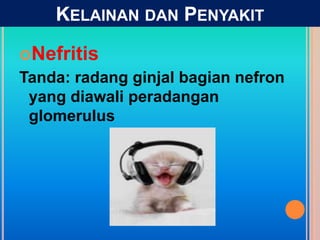 Nefritis
Tanda: radang ginjal bagian nefron
yang diawali peradangan
glomerulus
KELAINAN DAN PENYAKIT
 