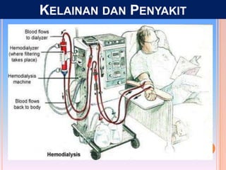 KELAINAN DAN PENYAKIT
 