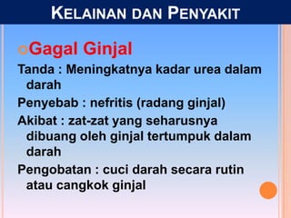 Gagal Ginjal
Tanda : Meningkatnya kadar urea dalam
darah
Penyebab : nefritis (radang ginjal)
Akibat : zat-zat yang seharusnya
dibuang oleh ginjal tertumpuk dalam
darah
Pengobatan : cuci darah secara rutin
atau cangkok ginjal
KELAINAN DAN PENYAKIT
 