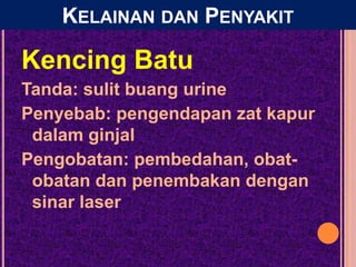 Kencing Batu
Tanda: sulit buang urine
Penyebab: pengendapan zat kapur
dalam ginjal
Pengobatan: pembedahan, obat-
obatan dan penembakan dengan
sinar laser
KELAINAN DAN PENYAKIT
 