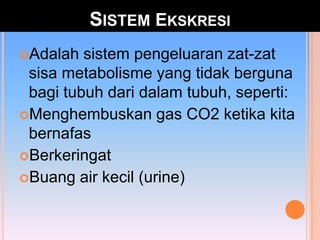 SISTEM EKSKRESI
Adalah sistem pengeluaran zat-zat
sisa metabolisme yang tidak berguna
bagi tubuh dari dalam tubuh, seperti:
Menghembuskan gas CO2 ketika kita
bernafas
Berkeringat
Buang air kecil (urine)
 