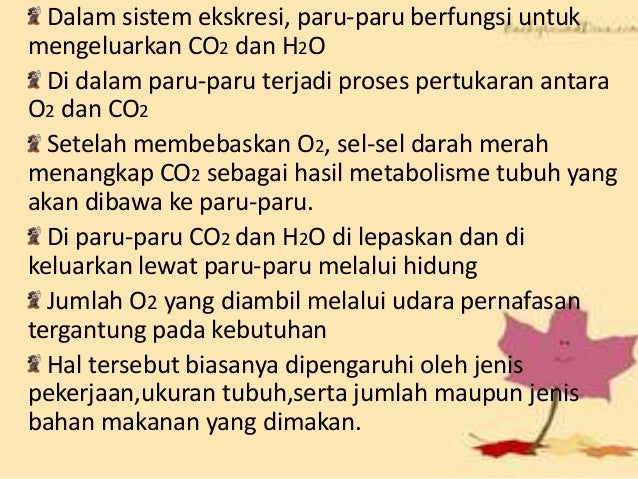 Sistem ekskresi paru paru