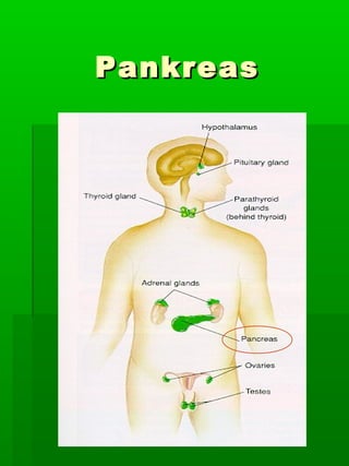 Pankreas
 