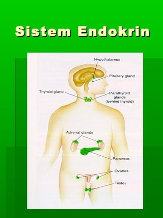 Sistem Endokrin
 