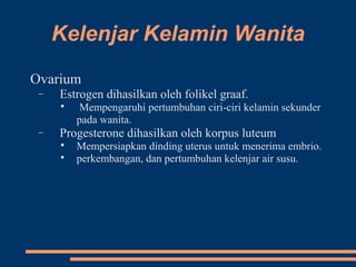 Kelenjar Kelamin Wanita
Ovarium
− Estrogen dihasilkan oleh folikel graaf.

Mempengaruhi pertumbuhan ciri-ciri kelamin sekunder
pada wanita.
− Progesterone dihasilkan oleh korpus luteum

Mempersiapkan dinding uterus untuk menerima embrio.

perkembangan, dan pertumbuhan kelenjar air susu.
 