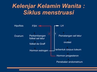 Kelenjar Kelamin Wanita :
Siklus menstruasi
Hipofisis FSH LH
Ovarium Perkembangan
folikel sel telur
folikel de Graff
Hormon estrogen
Pematangan sel telur
ovulasi
terbentuk corpus luteum
Hormon progesteron
Penebalan endometrium
12
 
