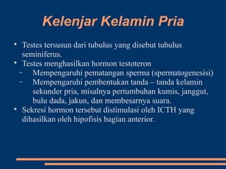 Kelenjar Kelamin Pria

Testes tersusun dari tubulus yang disebut tubulus
seminiferus.

Testes menghasilkan hormon testoteron
− Mempengaruhi pematangan sperma (spermatogenesisi)
− Mempengaruhi pembentukan tanda – tanda kelamin
sekunder pria, misalnya pertumbuhan kumis, janggut,
bulu dada, jakun, dan membesarnya suara.

Sekresi hormon tersebut distimulasi oleh ICTH yang
dihasilkan oleh hipofisis bagian anterior.
 