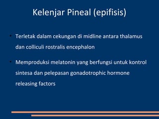 Kelenjar Pineal (epifisis)
• Terletak dalam cekungan di midline antara thalamus
dan colliculi rostralis encephalon
• Memproduksi melatonin yang berfungsi untuk kontrol
sintesa dan pelepasan gonadotrophic hormone
releasing factors
 