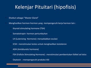 Kelenjar Pituitari (hipofisis)
• Disebut sebagai “Master Gland”
• Menghasilkan hormon-hormon yang mempengaruhi kerja hormon lain :
– thyroid stimulating hormone (TSH)
– Somatotropin- hormon pertumbuhan
– LH (Lutenizing Hormone): menyebabkan ovulasi
– ICSH : menstimulasi testes untuk menghasilkan testoteron
– ADH (Antidiuretic hormone)
– FSH (Follicle Stimulating Hormone) : menstimulasi pembentukan folikel sel telur.
– Oxytosin : mempengaruhi produksi ASI
 