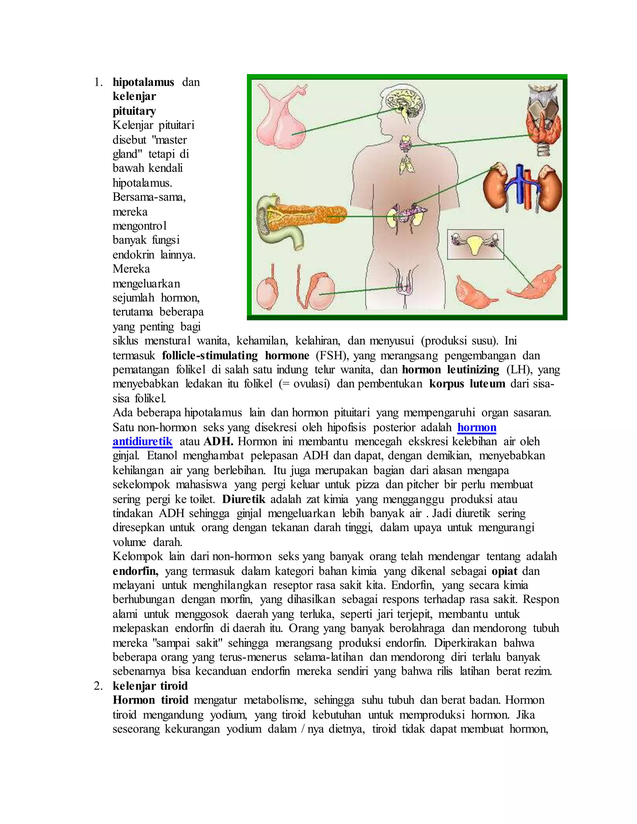 1. hipotalamus dan
kelenjar
pituitary
Kelenjar pituitari
disebut "master
gland" tetapi di
bawah kendali
hipotalamus.
Bersama-sama,
mereka
mengontrol
banyak fungsi
endokrin lainnya.
Mereka
mengeluarkan
sejumlah hormon,
terutama beberapa
yang penting bagi
siklus menstural wanita, kehamilan, kelahiran, dan menyusui (produksi susu). Ini
termasuk follicle-stimulating hormone (FSH), yang merangsang pengembangan dan
pematangan folikel di salah satu indung telur wanita, dan hormon leutinizing (LH), yang
menyebabkan ledakan itu folikel (= ovulasi) dan pembentukan korpus luteum dari sisa-
sisa folikel.
Ada beberapa hipotalamus lain dan hormon pituitari yang mempengaruhi organ sasaran.
Satu non-hormon seks yang disekresi oleh hipofisis posterior adalah hormon
antidiuretik atau ADH. Hormon ini membantu mencegah ekskresi kelebihan air oleh
ginjal. Etanol menghambat pelepasan ADH dan dapat, dengan demikian, menyebabkan
kehilangan air yang berlebihan. Itu juga merupakan bagian dari alasan mengapa
sekelompok mahasiswa yang pergi keluar untuk pizza dan pitcher bir perlu membuat
sering pergi ke toilet. Diuretik adalah zat kimia yang mengganggu produksi atau
tindakan ADH sehingga ginjal mengeluarkan lebih banyak air . Jadi diuretik sering
diresepkan untuk orang dengan tekanan darah tinggi, dalam upaya untuk mengurangi
volume darah.
Kelompok lain dari non-hormon seks yang banyak orang telah mendengar tentang adalah
endorfin, yang termasuk dalam kategori bahan kimia yang dikenal sebagai opiat dan
melayani untuk menghilangkan reseptor rasa sakit kita. Endorfin, yang secara kimia
berhubungan dengan morfin, yang dihasilkan sebagai respons terhadap rasa sakit. Respon
alami untuk menggosok daerah yang terluka, seperti jari terjepit, membantu untuk
melepaskan endorfin di daerah itu. Orang yang banyak berolahraga dan mendorong tubuh
mereka "sampai sakit" sehingga merangsang produksi endorfin. Diperkirakan bahwa
beberapa orang yang terus-menerus selama-latihan dan mendorong diri terlalu banyak
sebenarnya bisa kecanduan endorfin mereka sendiri yang bahwa rilis latihan berat rezim.
2. kelenjar tiroid
Hormon tiroid mengatur metabolisme, sehingga suhu tubuh dan berat badan. Hormon
tiroid mengandung yodium, yang tiroid kebutuhan untuk memproduksi hormon. Jika
seseorang kekurangan yodium dalam / nya dietnya, tiroid tidak dapat membuat hormon,
 