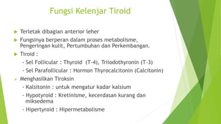Fungsi Kelenjar Tiroid
 Terletak dibagian anterior leher
 Fungsinya berperan dalam proses metabolisme,
Pengeringan kulit, Pertumbuhan dan Perkembangan.
 Tiroid :
- Sel Follicular : Thyroid (T-4), Triiodothyronin (T-3)
- Sel Parafollicular : Hormon Thyrocalcitonin (Calcitonin)
 Menghasilkan Tiroksin
- Kalsitonin : untuk mengatur kadar kalsium
- Hypotyroid : Kretinisme, kecerdasan kurang dan
miksedema
- Hipertyroid : Hipermetabolisme
 
