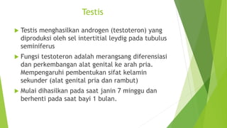 Testis
 Testis menghasilkan androgen (testoteron) yang
diproduksi oleh sel intertitial leydig pada tubulus
seminiferus
 Fungsi testoteron adalah merangsang diferensiasi
dan perkembangan alat genital ke arah pria.
Mempengaruhi pembentukan sifat kelamin
sekunder (alat genital pria dan rambut)
 Mulai dihasilkan pada saat janin 7 minggu dan
berhenti pada saat bayi 1 bulan.
 