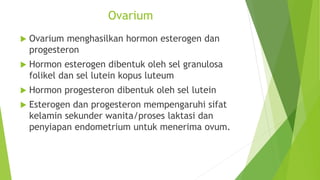 Ovarium
 Ovarium menghasilkan hormon esterogen dan
progesteron
 Hormon esterogen dibentuk oleh sel granulosa
folikel dan sel lutein kopus luteum
 Hormon progesteron dibentuk oleh sel lutein
 Esterogen dan progesteron mempengaruhi sifat
kelamin sekunder wanita/proses laktasi dan
penyiapan endometrium untuk menerima ovum.
 