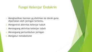 Fungsi Kelenjar Endokrin
1. Menghasilkan hormon yg dialirkan ke darah guna
diperlukan oleh jaringan tertentu.
2. Mengontrol aktivitas kelenjar tubuh
3. Merangsang aktivitas kelenjar tubuh
4. Merangsang pertumbuhan jaringan
5. Mengatur metabolisme
 